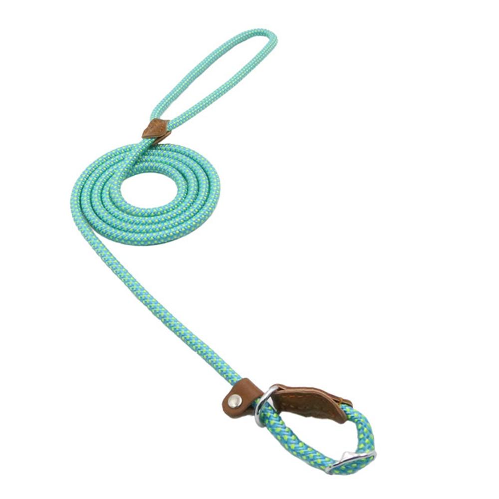 Nylon dog collar and leash set
