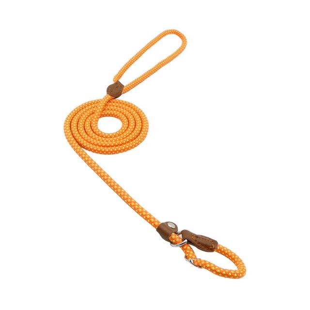 Nylon dog collar and leash set