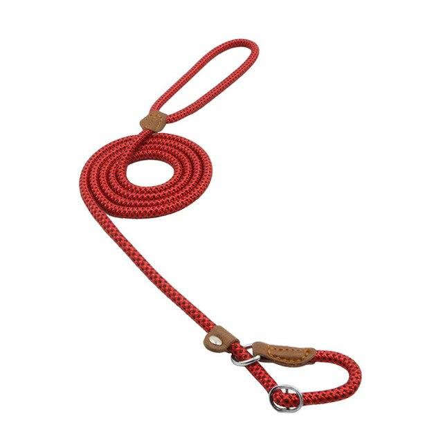 Nylon dog collar and leash set